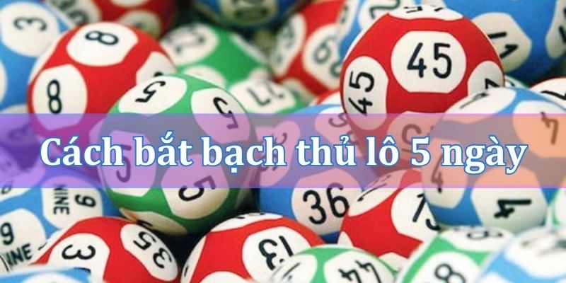 Cách bắt bạch thủ lô khung 5 ngày