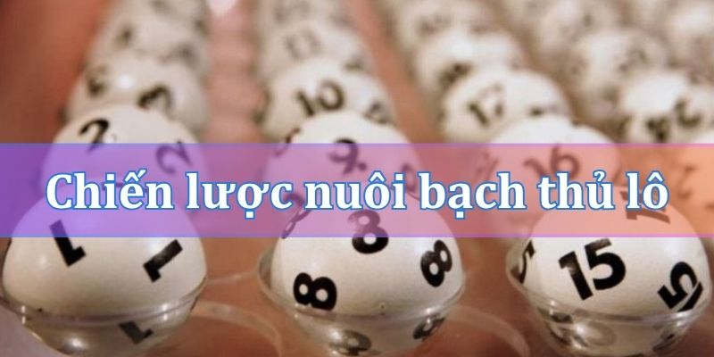 Chiến lược nuôi bạch thủ lô khung 5 ngày