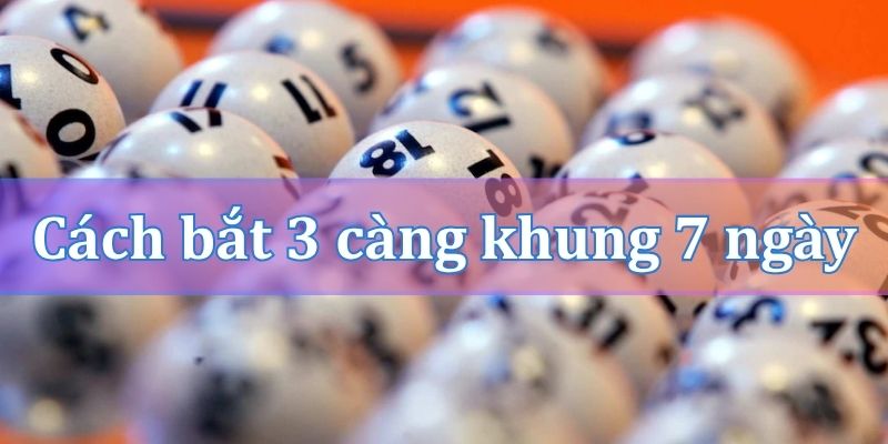 Cách bắt 3 càng khung 7 ngày hiệu quả