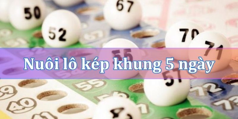 Cách vào tiền nuôi lô kép khung 5 ngày