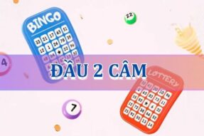 Đầu 2 câm hôm sau đánh lô con gì chuẩn xác nhất?