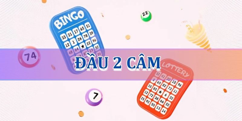 Đầu 2 câm hôm sau đánh lô con gì chuẩn xác nhất?