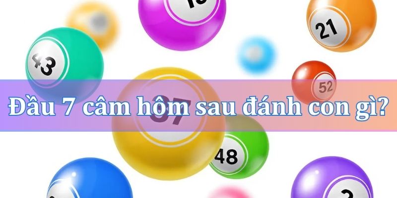 Đầu 7 câm hôm sau đánh con gì?
