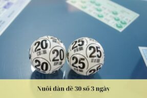 Nuôi dàn đề 30 số 3 ngày miễn phí, chuẩn xác 99%