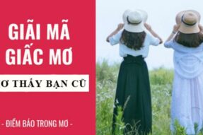 Mơ thấy bạn học cũ đánh con gì dễ trúng? Giải mã giấc mơ