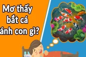 Mơ thấy bắt cá – Giải mã giấc mơ và con số may mắn
