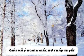 Mơ thấy tuyết đánh số gì? Ý nghĩa giấc mơ thấy tuyết rơi