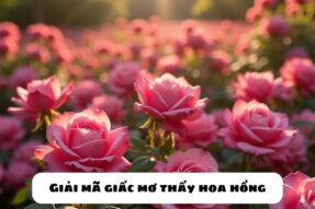 Mơ thấy hoa hồng đánh số gì là trúng? Giải mã giấc mơ thấy hoa hồng