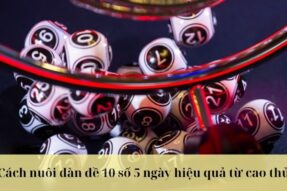 Nuôi dàn đề 10 số 5 ngày bất bại đánh quanh năm