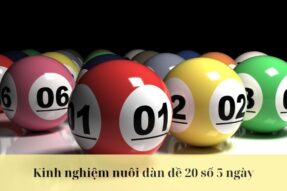 Dàn đề 20 số 5 ngày miễn phí đánh quanh năm