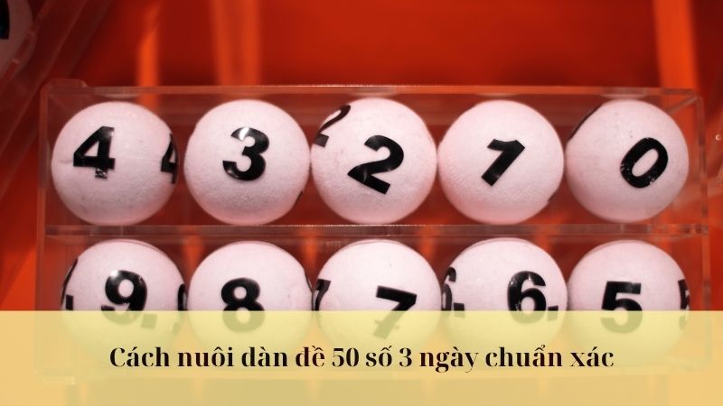 dàn de 50 số nuôi khung 3 ngày