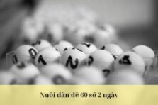 Nuôi dàn đề 60 số 2 ngày chuẩn từ cao thủ