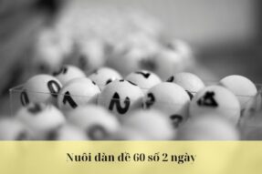 Nuôi dàn đề 60 số 2 ngày chuẩn từ cao thủ