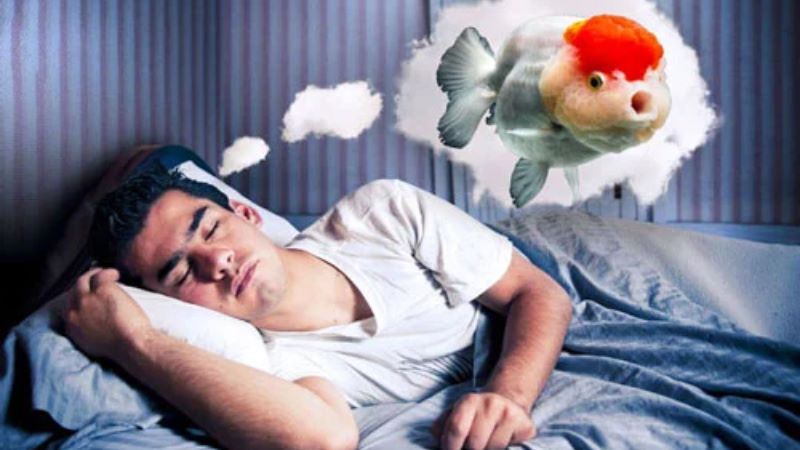 nằm mơ thấy cá