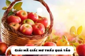 Mơ thấy quả táo là điềm gì? Giải mã giấc mơ thấy quả táo