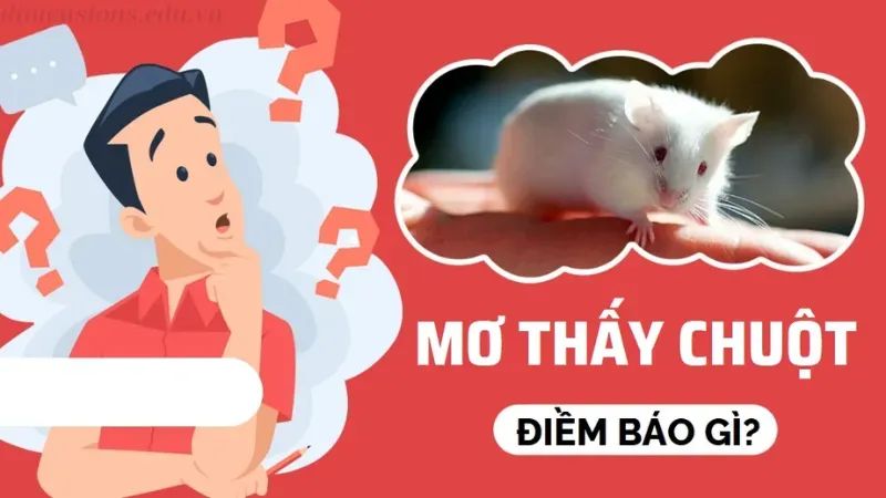 con chuột số mấy