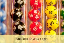 Nuôi dàn đề 50 số 3 ngày chuẩn xác từ cao thủ