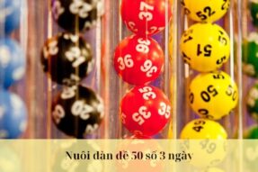 Nuôi dàn đề 50 số 3 ngày chuẩn xác từ cao thủ