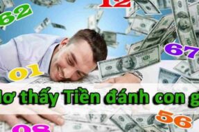 Mơ thấy tiền đánh con gì? Giải mã ý nghĩa và con số may mắn