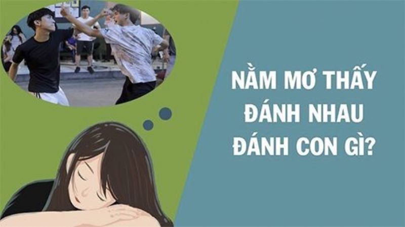 mơ thấy đánh nhau đánh con gì