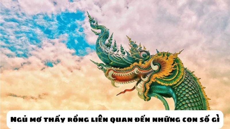 Ngủ mơ thấy rồng liên quan đến những con số gì