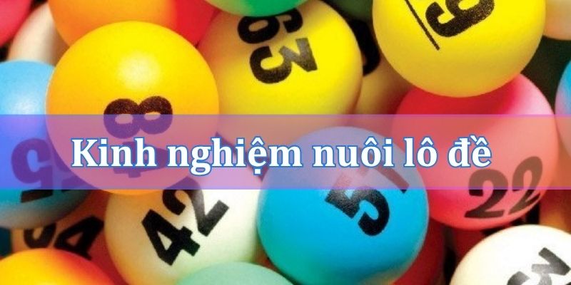 Kinh nghiệm nuôi lô đề 3 càng khung 7 ngày