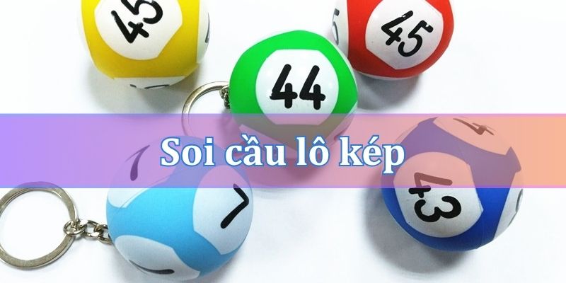 Phương pháp nuôi lô kép khung 5 ngày hiệu quả