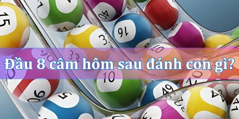 Đầu 8 câm hôm sau đánh con gì?