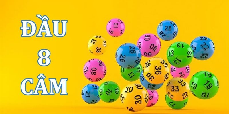 Đầu 8 câm hôm sau đánh con gì? Cách soi cầu hiệu quả