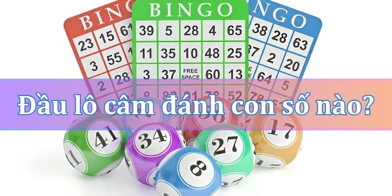 Đầu lô câm đánh con số nào chính xác nhất?