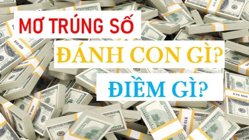 nằm mơ thấy trúng số