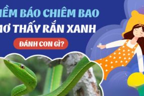 Mơ thấy rắn xanh là điềm gì? Đánh số nào trúng lớn?