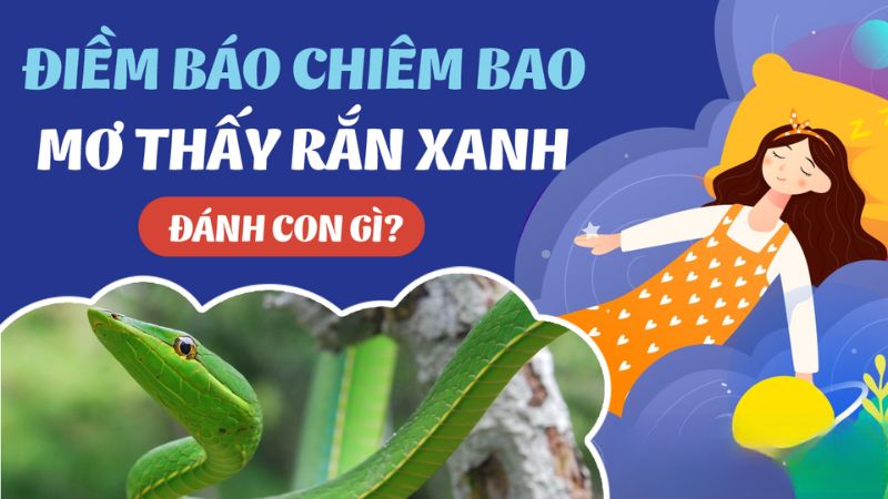 mơ thấy rắn xanh 1
