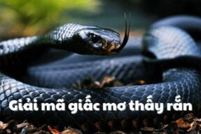 Nằm mơ thấy rắn là điềm gì – Đánh con số gì may mắn?