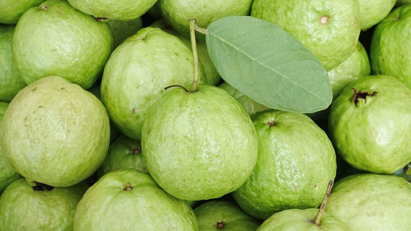mơ thấy quả ổi