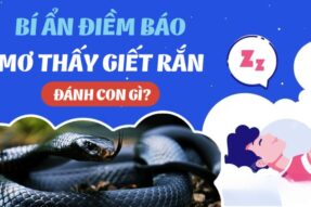 Giải mã mơ thấy giết rắn – Đánh số gì để trúng lớn?