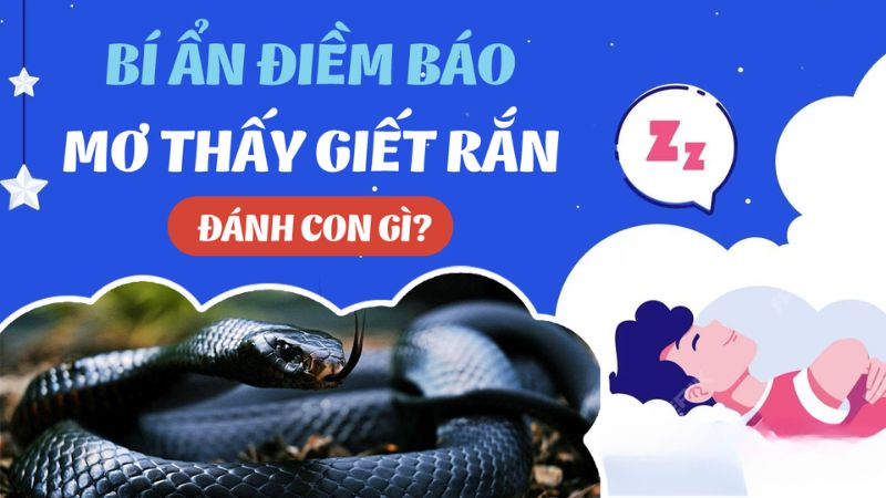 mơ thấy giết rắn 1