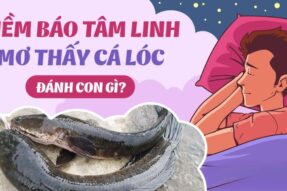 Mơ thấy cá lóc – Giải mã chi tiết giấc mơ và con số may mắn