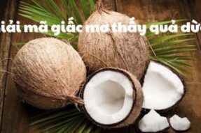 Mơ thấy quả dừa có ý nghĩa gì? Đánh con số nào để trúng lớn?