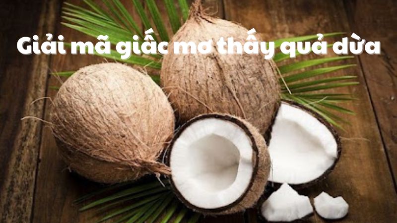 mơ thấy trái dừa