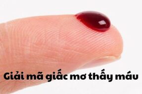 Mơ thấy máu đánh con gì? Giải mã ý nghĩa và con số may mắn