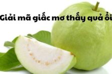 Mơ thấy quả ổi là điềm gì? Con số may mắn liên quan