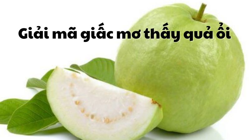 ngủ mơ thấy quả ổi