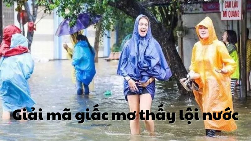 mơ lội nước