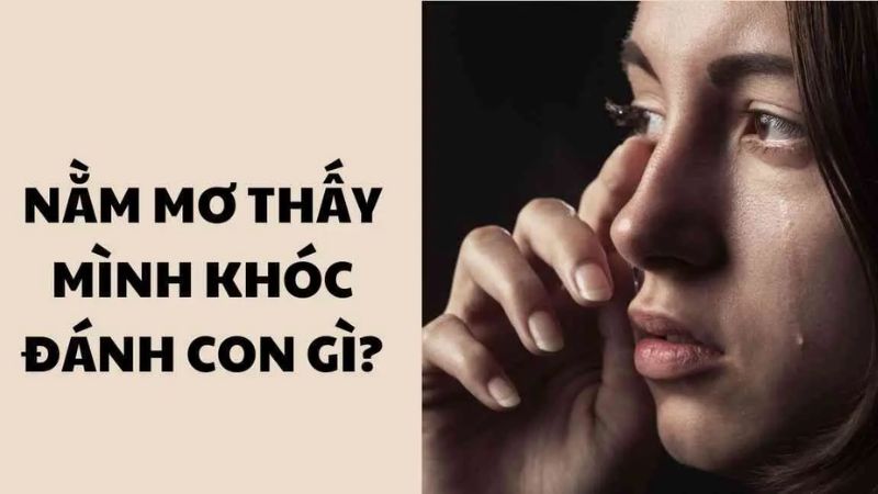 mơ thấy mình khóc 3