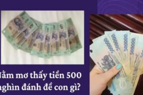 Mơ thấy tiền 500 nghìn đánh con gì? Con số may mắn tương ứng
