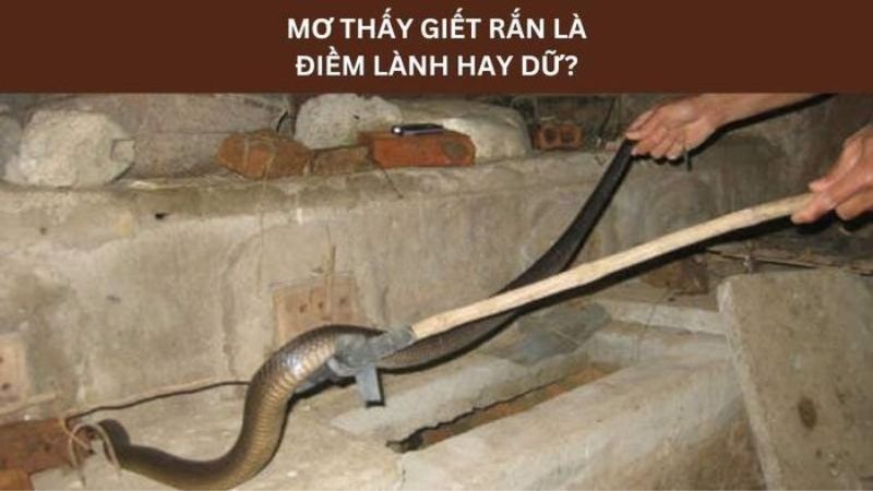 mơ thấy giết rắn 3