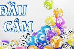 Đầu 5 câm đánh con gì? Bí quyết đánh dàn đề hiệu quả nhất