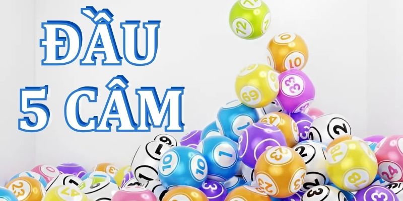 Đầu 5 câm đánh con gì? Bí quyết đánh dàn đề hiệu quả nhất