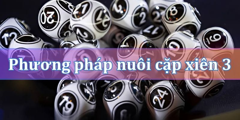 Phương pháp nuôi các cặp xiên 3 hay về